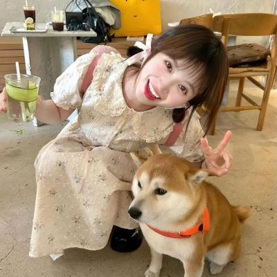 人民公仆第二季